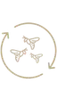 custom-icon-image